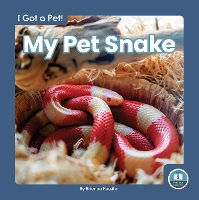 Book Cover for My Pet Snake by Brienna Rossiter