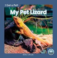 Book Cover for My Pet Lizard by Brienna Rossiter