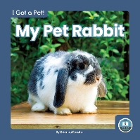 Book Cover for My Pet Rabbit by Brienna Rossiter