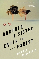 Book Cover for Brother & Sister Enter The Forest by Richard Mirabella