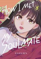 Book Cover for How I Met My Soulmate 3 by Anashin