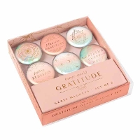 Book Cover for Gratitude: Glass Magnet Set (Set of 6) by Insight Editions
