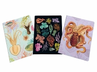 Book Cover for Art of Nature: Under the Sea Sewn Notebook Collection by Insight Editions