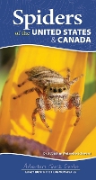 Book Cover for Spiders of the United States by Dr. Sebastian Alejandro Echeverri