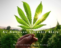 Book Cover for An American Cannabis Story by David Goodman