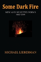 Book Cover for Some Dark Fire by Michael Lieberman