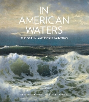 Book Cover for In American Waters by Daniel Finamore