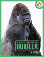 Book Cover for Gorilla by Melissa Gish