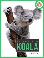 Book Cover for Koala by Melissa Gish