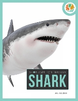 Book Cover for Shark by Melissa Gish