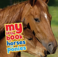Book Cover for My Little Book of Horses and Ponies by Nicola Jane Swinney
