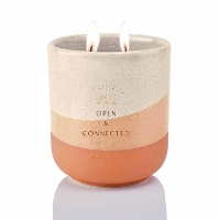 Book Cover for Connection Scented Ceramic Candle by Insight Editions