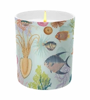 Book Cover for Art of Nature: Under the Sea Scented Glass Candle by Insight Editions