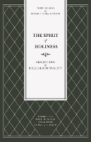 Book Cover for The Spirit of Holiness by Terry Delaney