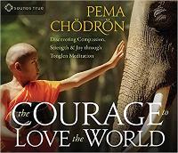 Book Cover for The Courage to Love the World by Pema Chodron