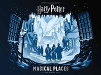 Book Cover for Harry Potter: Magical Places by Insight Editions