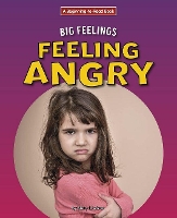 Book Cover for Feeling Angry by Mary Lindeen