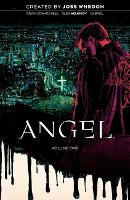 Book Cover for Angel Vol. 1 20th Anniversary Edition by Joss Whedon, Bryan Hill