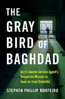 Book Cover for The Gray Bird of Baghdad by Stephen Phillip Monteiro