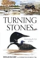 Book Cover for Turning Stones by Declan McCabe