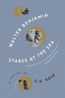 Book Cover for Walter Benjamin Stares At The Sea by C.D. Rose