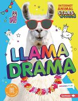 Book Cover for Llama Drama by Rebecca Felix