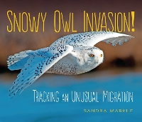 Book Cover for Snowy Owl Invasion! by Sandra Markle