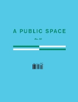 Book Cover for A Public Space No. 30 by Brigid Hughes