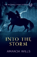 Book Cover for Into the Storm by Amanda Wills