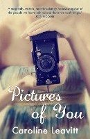 Book Cover for Pictures of You by Caroline Leavitt