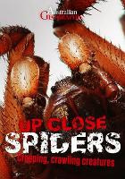 Book Cover for Spiders by Kathy Riley