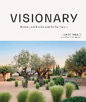 Book Cover for Visionary by Claire Takacs