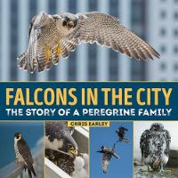 Book Cover for Falcons in the City: The Story of a Peregine Family by Chris Earley, Luke Massey