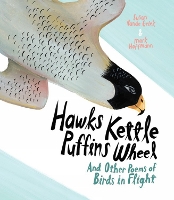 Book Cover for Hawks Kettle, Puffins Wheel by Susan Vande Griek