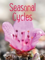 Book Cover for Seasonal Cycles by Nadia Mike