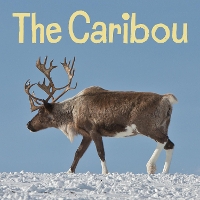 Book Cover for The Caribou by Arvaaq Press