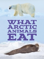 Book Cover for What Arctic Animals Eat by Arvaaq Press