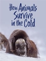 Book Cover for How Animals Survive in the Cold by Kelly Graham