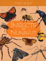 Book Cover for Junior Field Guide: Insects of Nunavut by Jordan Hoffman