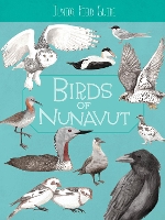 Book Cover for Birds of Nunavut by Carolyn Mallory