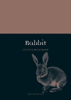 Book Cover for Rabbit by Victoria Dickenson