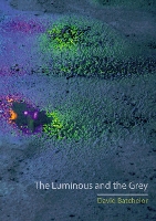 Book Cover for The Luminous and the Grey by David Batchelor