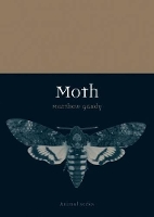 Book Cover for Moth by Matthew Gandy