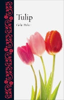 Book Cover for Tulip by Celia Fisher
