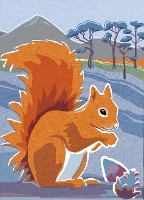 Book Cover for Nature Notebook: Red Squirrel by Jane Smith