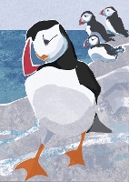 Book Cover for Nature Notebook: Puffin by Jane Smith