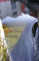 Book Cover for Flood by Clare Shaw