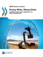 Book Cover for Drying Wells, Rising Stakes – Towards Sustainable Agricultural Groundwater Use by Organisation for Economic Co-Operation and Development (OECD)