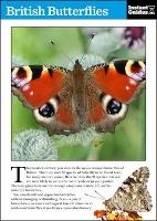 Book Cover for British Butterflies by Instant Guides