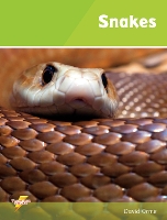 Book Cover for Snakes by Orme David